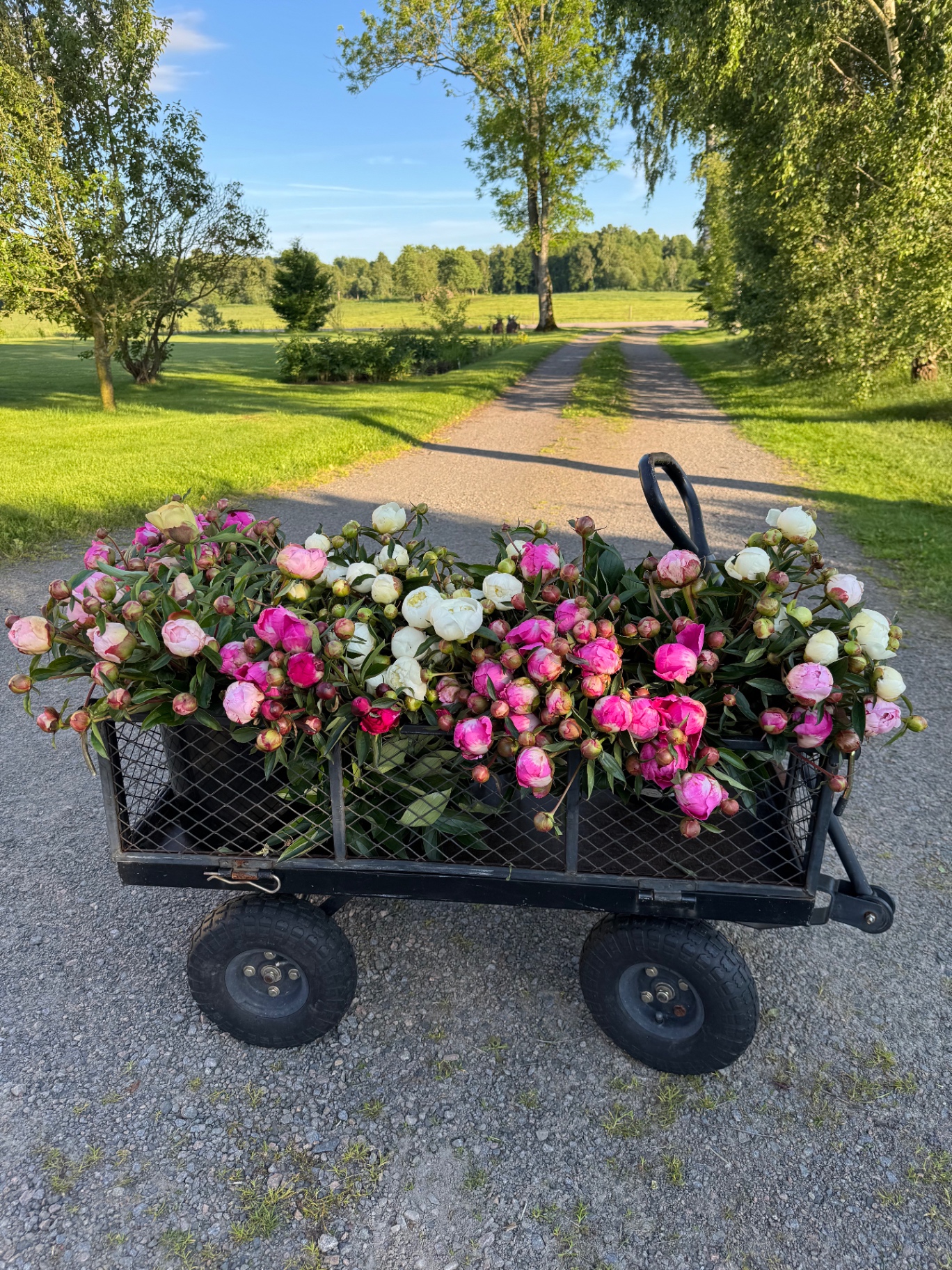 Bukettkiosken vid vägen på Birkegårdens blommor