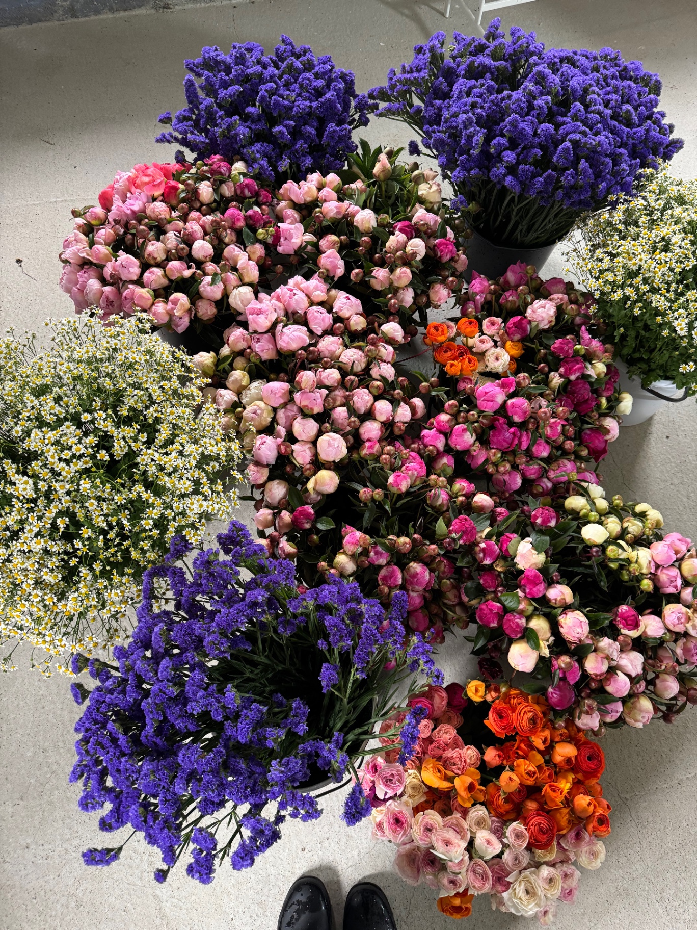Solbelyst blomsteråker på Birkegårdens blommor